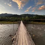 карпатський двір * Krivorovnya