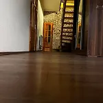 карпатський двір * Krivorovnya