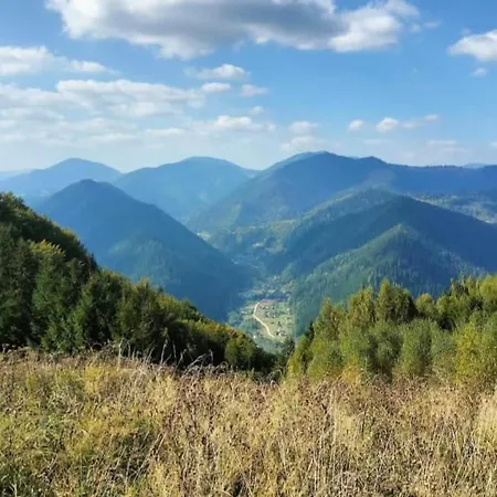 карпатський двір * Krivorovnya