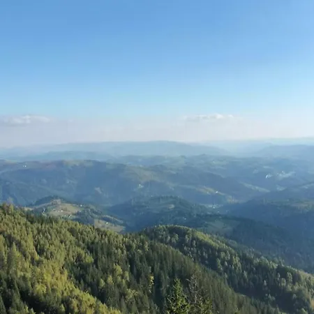 карпатський двір Prázdninový dům *