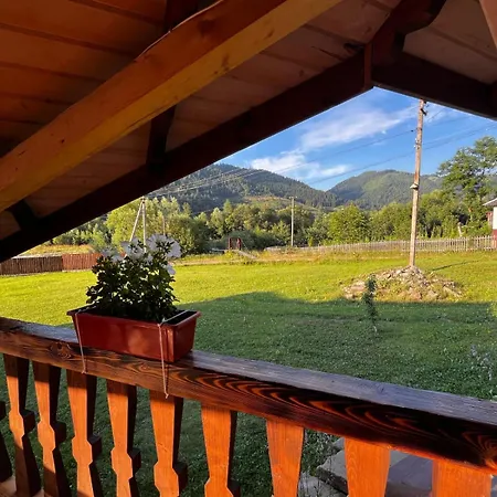 карпатський двір Prázdninový dům Krivorovnya