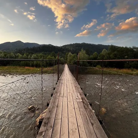 карпатський двір * Krivorovnya