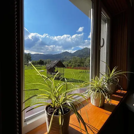 карпатський двір Prázdninový dům Krivorovnya