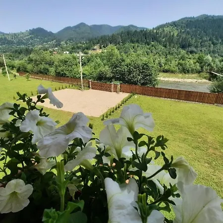 карпатський двір *