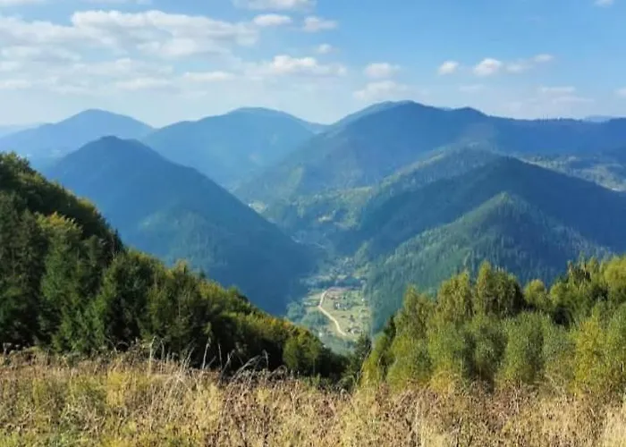 карпатський двір * Krivorovnya