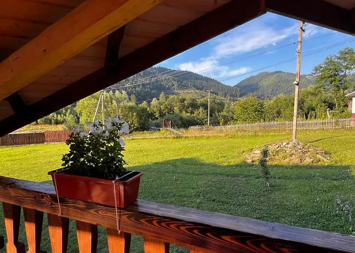 карпатський двір Tatil Evi Krivorovnya